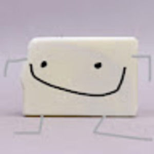 Meet your Posher, Brady